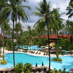 Patong Merlin Hotel с домашними животными
