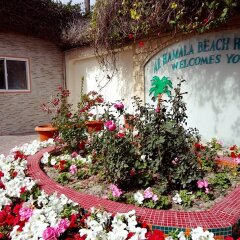 Hamala Beach Resort in Al Areen Wildlife Sanctuary, Bahrain from 362$, photos, reviews - zenhotels.com photo 8