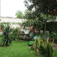 Hotel Las Pergolas фото 4