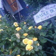 Отель Maple Beach B&B Канада, Ванкувер - отзывы, цены и фото номеров - забронировать отель Maple Beach B&B онлайн фото 2