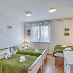 Отель Apartman U Medvidku комната для гостей фото 5