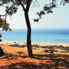 Patara Sun Club Турция, Патара - отзывы, цены и фото номеров - забронировать отель Patara Sun Club онлайн пляж фото 2