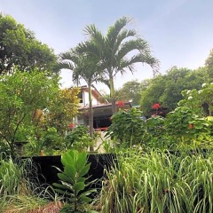 Отель Hibiscus Villa фото 5