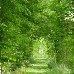 Отель Agriturismo Ca' Marcello Италия, Мира - отзывы, цены и фото номеров - забронировать отель Agriturismo Ca' Marcello онлайн фото 5