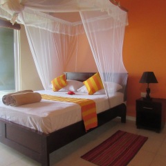Отель Leatherback Beach Villa комната для гостей