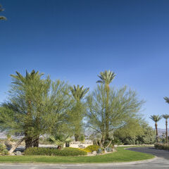 Отель Borrego Springs Resort and Spa фото 6