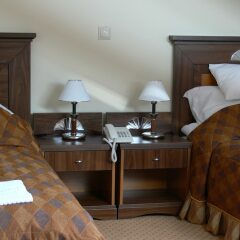 Отель Öreg Miskolcz Hotel Венгрия, Силвашварад - отзывы, цены и фото номеров - забронировать отель Öreg Miskolcz Hotel онлайн удобства в номере фото 2