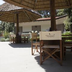 Отель Paradú Resort Toscana Кастаньето-Кардуччи
