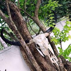 Отель W Villa at Yala с домашними животными