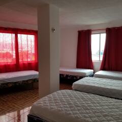 Отель Reggae Hostel Montego Bay Ямайка, Монтего-Бей - отзывы, цены и фото номеров - забронировать отель Reggae Hostel Montego Bay онлайн комната для гостей