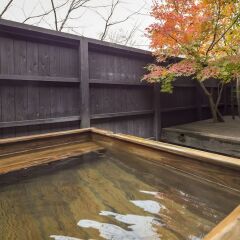 Отель Ryokan Hanagokoro Минамиогуни бассейн фото 2