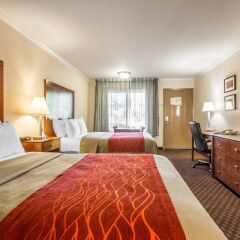 Отель Comfort Inn Near Pasadena Civic Auditorium США, Пасадена - отзывы, цены и фото номеров - забронировать отель Comfort Inn Near Pasadena Civic Auditorium онлайн удобства в номере