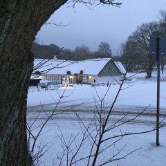 Отель Hørhavegården Дания, Орхус - отзывы, цены и фото номеров - забронировать отель Hørhavegården онлайн приотельная территория фото 2