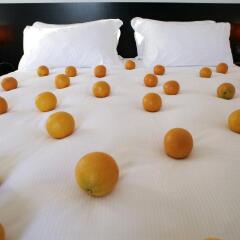 Hotel Aniene детские мероприятия