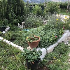 Отель Agriturismo Tre Forti Риволи-Веронезе фото 4