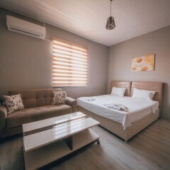Edrin Hotel Турция, Эдирне - отзывы, цены и фото номеров - забронировать отель Edrin Hotel онлайн комната для гостей фото 2