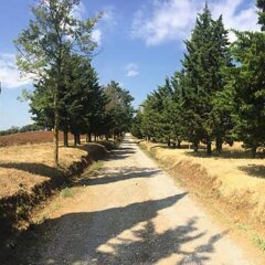 Отель Agriturismo I Poderi Кьянчиано Терме