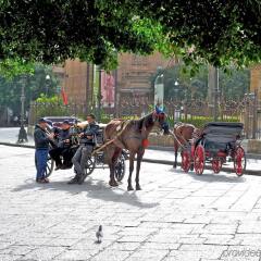 Отель Mercure Palermo Centro Италия, Палермо - 2 отзыва об отеле, цены и фото номеров - забронировать отель Mercure Palermo Centro онлайн спортивное сооружение