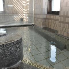 Отель Apa Ogaki-Ekimae Огаки сауна
