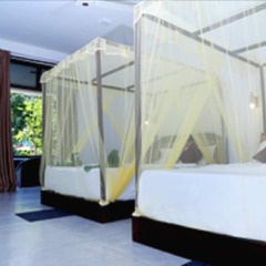 The Grand Yala Hotel комната для гостей фото 2