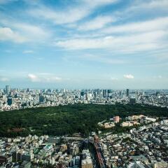 Отель Park Hyatt Tokyo Токио пляж