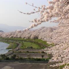 Отель Akita Art Village Onsen Yupopo Дайсен пляж фото 2
