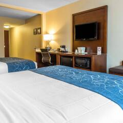 Отель Comfort Suites Manassas Battlefield Park удобства в номере
