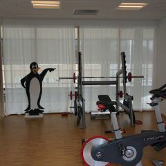 Отель Pingvinhotellet UNN Tromsø фитнесс-зал