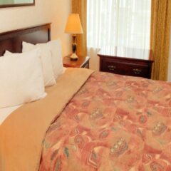 Отель Robson Suites Канада, Ванкувер - отзывы, цены и фото номеров - забронировать отель Robson Suites онлайн комната для гостей фото 4