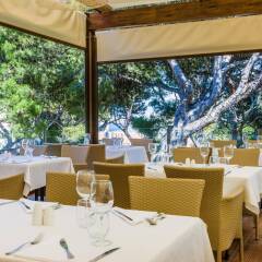 Отель VIVA Cala Mesquida Resort & Spa питание