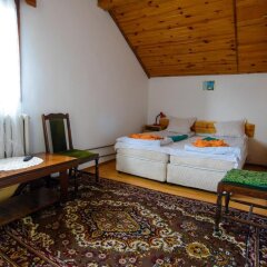 Отель Topuzovi Guest House Банско детские мероприятия фото 2