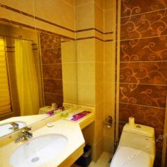 FengSheng Central City Hotel ванная