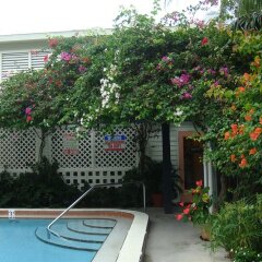 El Patio Motel In Key West United States Of America From 439