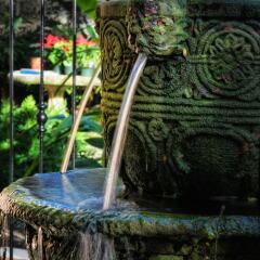 Little Arches Boutique Hotel Barbados - Adults only фото 8