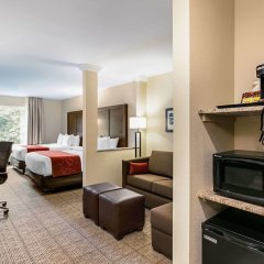 Comfort Suites Fishkill near Interstate 84 in Fishkill, United States of America from 163$, photos, reviews - zenhotels.com room amenities