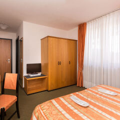 Hotel Alpina Пинцоло комната для гостей фото 5