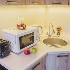 Апартаменты GM Apartment Nikolaeva 1 в номере