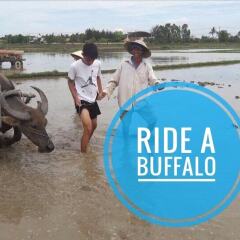 Отель The Moon River Homestay & Villa пляж