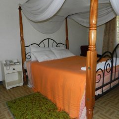 Hibiscus Guest House in Nairobi, Kenya from 71$, photos, reviews - zenhotels.com guestroom