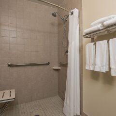 Comfort Inn Roanoke Civic Center in Roanoke, United States of America from 128$, photos, reviews - zenhotels.com bathroom