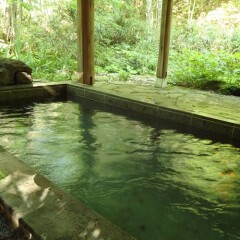 Отель Takara Onsen Pension Satchimo Айдзувакамацу бассейн
