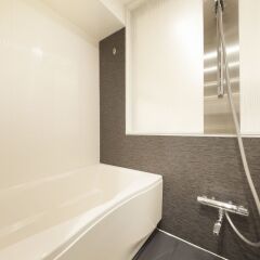Отель The Centurion Hotel Classic Akasaka Япония, Токио - отзывы, цены и фото номеров - забронировать отель The Centurion Hotel Classic Akasaka онлайн ванная