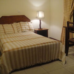 Tazina Guest House in Addis Ababa, Ethiopia from 121$, photos, reviews - zenhotels.com guestroom photo 3