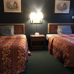 Отель 99 Palms Inn & Suites детские мероприятия фото 2