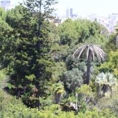 Отель Botanic Views Guest House Лиссабон фото 5
