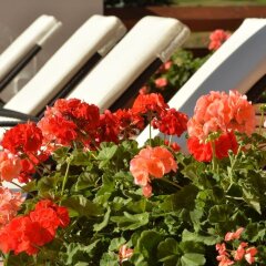 Hotel Terme Antico Bagno Долина Валь-ди-Фасса балкон