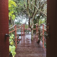 Отель Dao Anh Khanh Treehouse Ханой фото 15