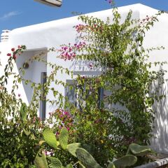 Отель Bay Bees Sea view Suites & Homes фото 14