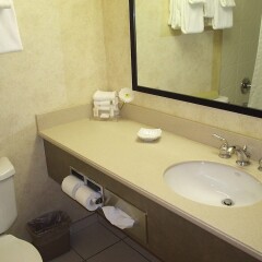 Отель Park Inn & Suites by Radisson, Vancouver Канада, Ванкувер - отзывы, цены и фото номеров - забронировать отель Park Inn & Suites by Radisson, Vancouver онлайн ванная