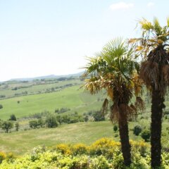 Отель Albergo Villa Marina Кьянчиано Терме фото 2